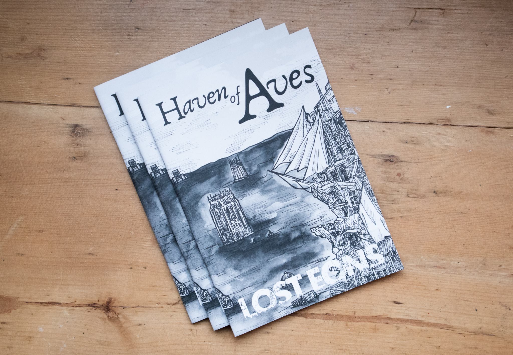 Haven of Aves game zine